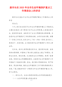 副市长在2025年全市生态环境保护重点工作推进会上的讲话