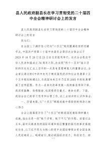 县人民政府副县长在学习贯彻党的二十届四中全会精神研讨会上的发言