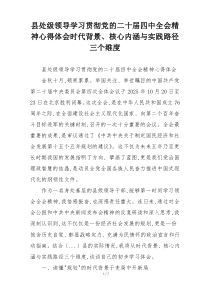 县处级领导学习贯彻党的二十届四中全会精神心得体会时代背景、核心内涵与实践路径三个维度
