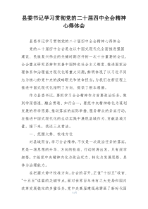 县委书记学习贯彻党的二十届四中全会精神心得体会