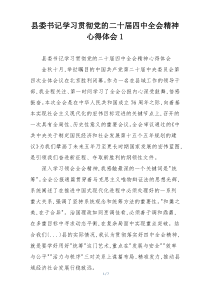 县委书记学习贯彻党的二十届四中全会精神心得体会1