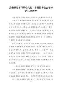 县委书记学习领会党的二十届四中全会精神的几点思考