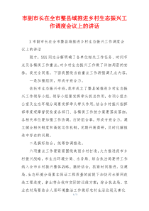 市副市长在全市整县域推进乡村生态振兴工作调度会议上的讲话