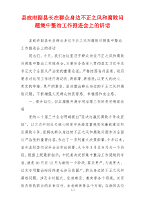 县政府副县长在群众身边不正之风和腐败问题集中整治工作推进会上的讲话