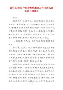 县长在2025年政府系统廉政工作电视电话会议上的讲话
