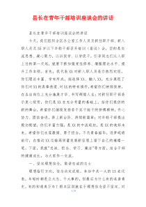 县长在青年干部培训座谈会的讲话