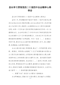 县长学习贯彻党的二十届四中全会精神心得体会