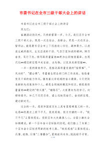 市委书记在全市三级干部大会上的讲话