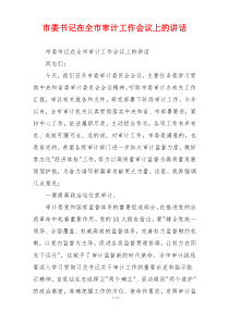 市委书记在全市审计工作会议上的讲话