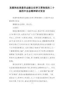 发展和改革委员会副主任学习贯彻党的二十届四中全会精神研讨发言