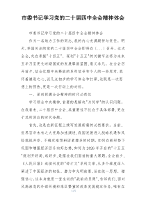 市委书记学习党的二十届四中全会精神体会