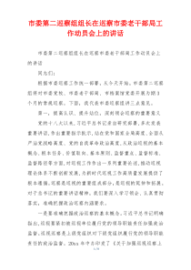 市委第二巡察组组长在巡察市委老干部局工作动员会上的讲话