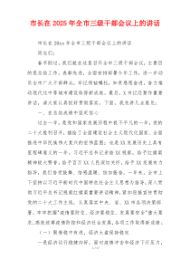 市长在2025年全市三级干部会议上的讲话