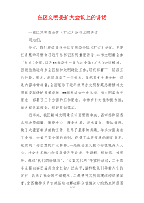 在区文明委扩大会议上的讲话