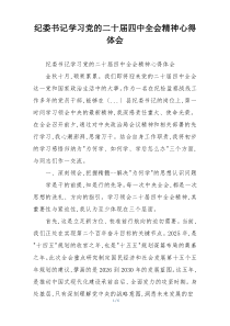 纪委书记学习党的二十届四中全会精神心得体会