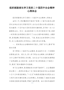 组织部副部长学习党的二十届四中全会精神心得体会