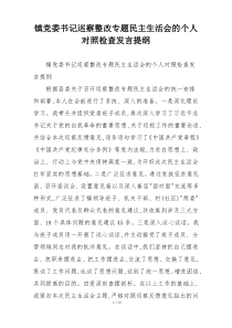 镇党委书记巡察整改专题民主生活会的个人对照检查发言提纲
