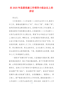 在2025年县委党建工作领导小组会议上的讲话