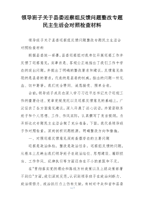 领导班子关于县委巡察组反馈问题整改专题民主生活会对照检查材料
