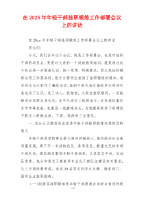 在2025年年轻干部挂职锻炼工作部署会议上的讲话