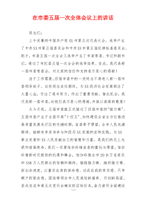 在市委五届一次全体会议上的讲话