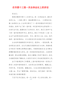 在市委十三届一次全体会议上的讲话