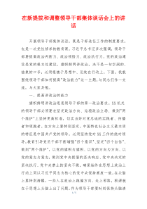 在新提拔和调整领导干部集体谈话会上的讲话