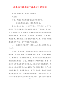 在全市文物保护工作会议上的讲话