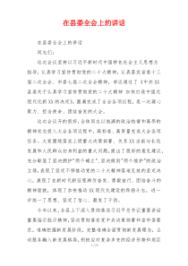 在县委全会上的讲话