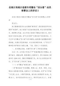 在统计局统计造假专项整治“回头看”动员部署会上的讲话2