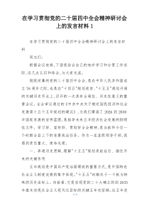 在学习贯彻党的二十届四中全会精神研讨会上的发言材料1