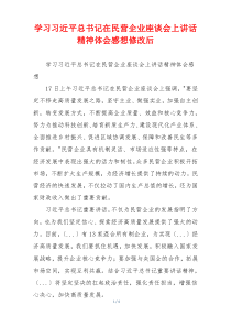学习习近平总书记在民营企业座谈会上讲话精神体会感想修改后