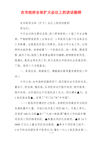 在市政府全体扩大会议上的讲话提纲