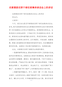 在新提拔任职干部任前集体谈话会上的讲话