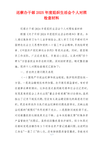 巡察办干部2025年度组织生活会个人对照检查材料