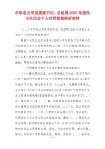 市供电公司党委副书记、总经理2025年度民主生活会个人对照检视剖析材料