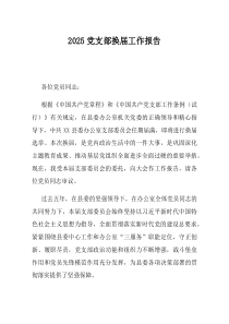 2025党支部换届工作报告
