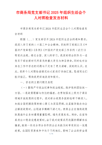 市商务局党支部书记2025年组织生活会个人对照检查发言材料