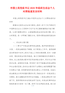 市国土局党组书记2025年组织生活会个人对照检查发言材料