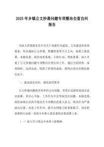 2025年乡镇公文抄袭问题专项整治自查自纠报告