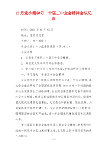 12月党小组学习二十届三中全会精神会议记录