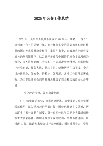 2025年公安工作总结