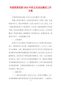 市国资委党委2025年民主生活会整改工作方案