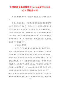 市国资委党委领导班子2025年度民主生活会对照检查材料