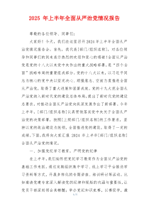 2025 年上半年全面从严治党情况报告