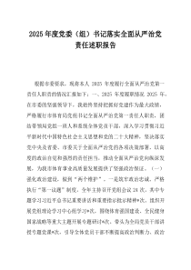 2025年度党委组书记落实全面从严治党责任述职报告