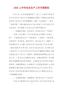 2025上半年安全生产工作开展情况