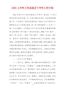2025上半年工作总结及下半年工作计划