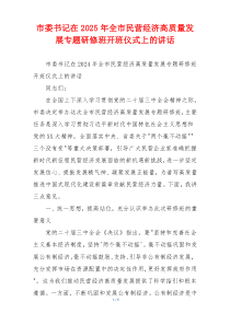 市委书记在2025年全市民营经济高质量发展专题研修班开班仪式上的讲话