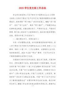 2025学生党支部工作总结